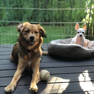 Thanks for all the follows!